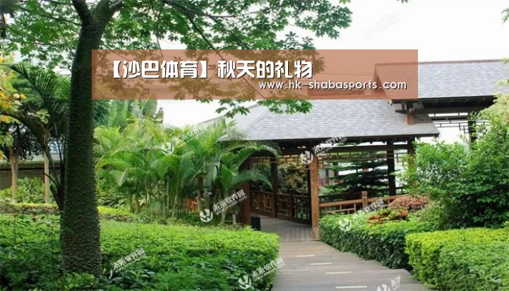 沙巴体育平台