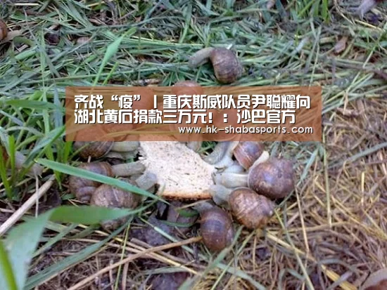 齐战“疫”丨重庆斯威队员尹聪耀向湖北黄石捐款三万元!:沙巴官方(图1) 沙巴体育平台