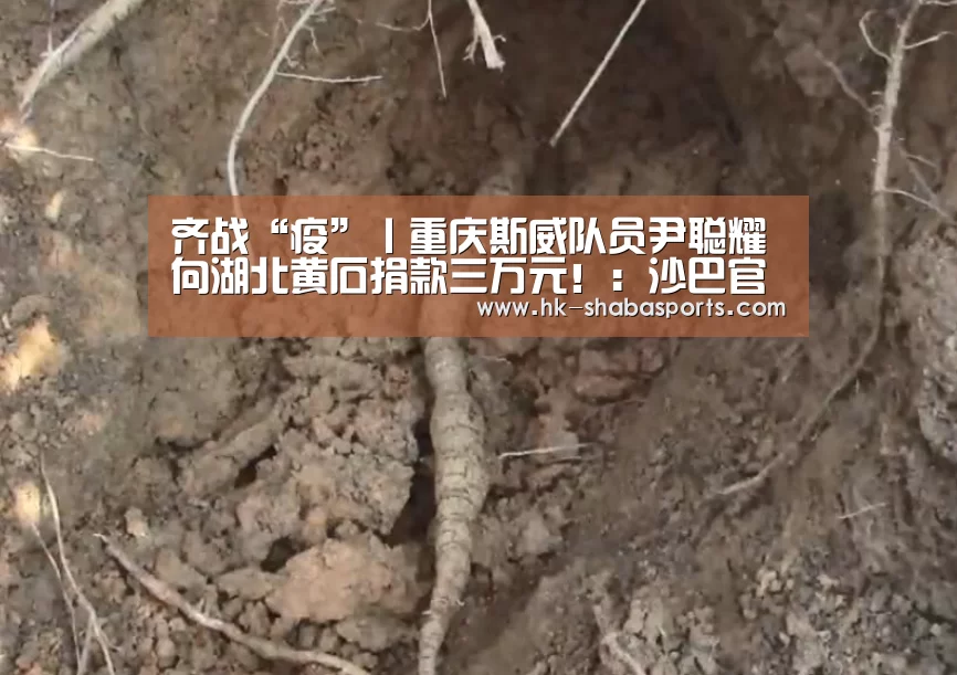 齐战“疫”丨重庆斯威队员尹聪耀向湖北黄石捐款三万元!:沙巴官方(图4) 沙巴体育官网