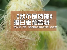 沙巴体育